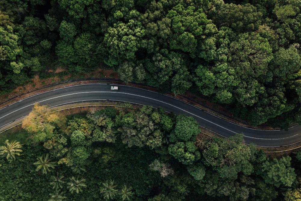 Vista desde arriba de una carretera en el bosque